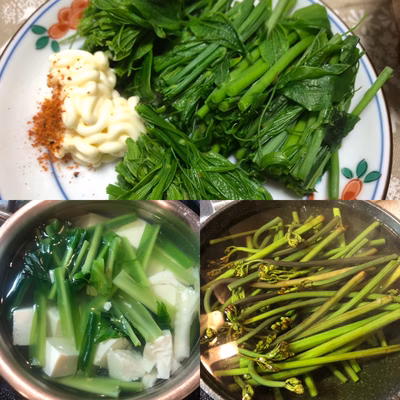 みんなの投稿の画像