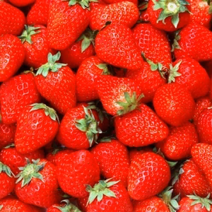 いろいろな味が楽しめる冷凍イチゴのセット！