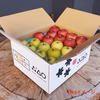 皮ごとおいしい特別栽培りんご サンふじ・王林セット 御歳暮に大人気