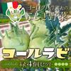 煮ても焼いても美味しさ新発見！ヨーロッパ野菜『コールラビ4個（緑）セット』