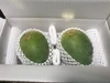 ワケあり沖縄産キーツマンゴー