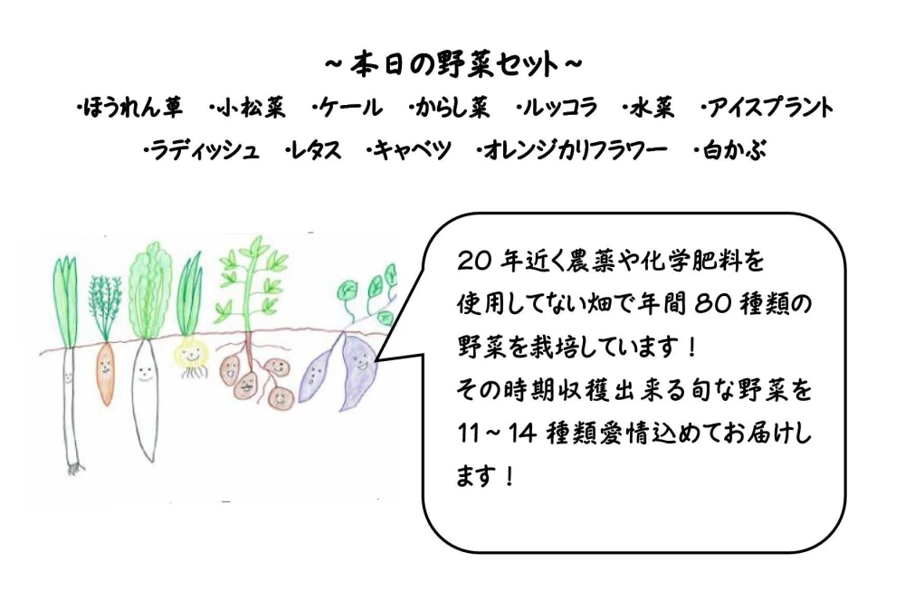 ☆月イチお届け☆もぎたて旬の野菜定期ＢＯＸ(Sサイズ)
