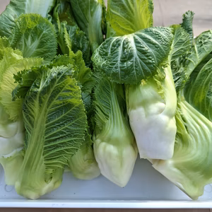 春告げ野菜「祝蕾」と訳あり葉ニンニクのセット❕