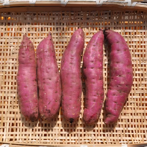 【熟成１ヶ月超えでお届け！】（紅はるか）（茨城県産）（Mサイズ〜2L）5kg