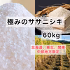  30〜60kg　極みのササニシキ 山形県産　令和3年