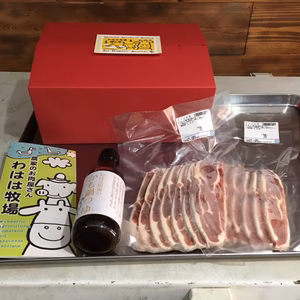 合鴨肉 鴨鍋セット（ギフト用） アイガモ肉のスライスとオリジナル鍋つゆのセット