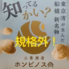 船橋三番瀬産ホンビノス貝規格外！ちょっと大きめ 