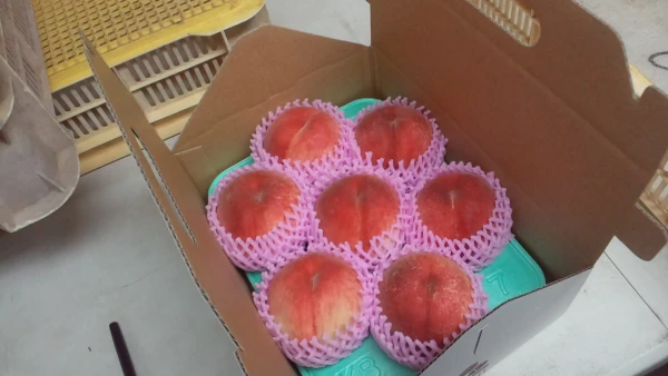 B-2[自家用2㎏] 新潟県桃果実品評会3位！あま～い初夏の香りをお届けします