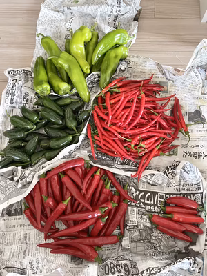 みんなの投稿の画像