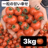 最終特価SALE ★【3kg】糖度9〜11度　高糖度ミニトマト　フルーツトマト