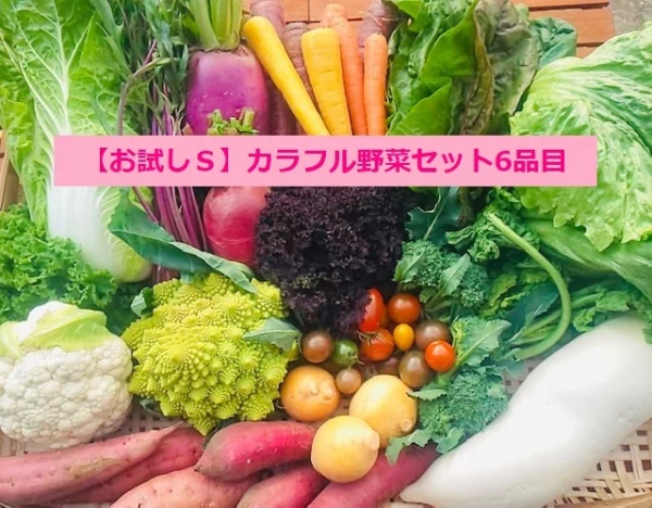 【お試しＳ】たてやまかおり菜園の『冬のカラフル野菜セット6品目』