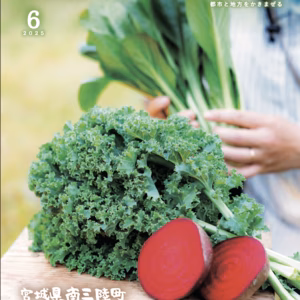 【今だけ・特別価格】たっぷり！カリーノケール【東北食べる通信・レシピつき】