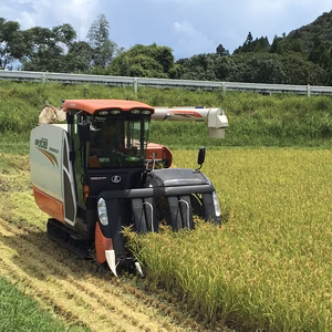 令和5年産　早期水稲コシヒカリ 25kg