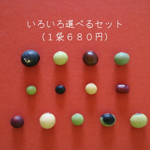 【３or６種類の大豆（２００g入り）を選べるセット】色々な組合せ、いかがですか？