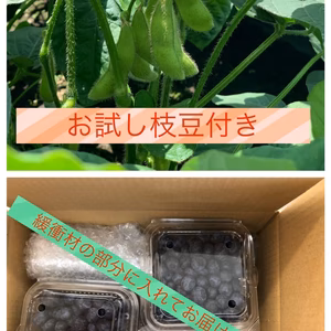 お試し枝豆とジューシー！甘い！ブルーベリー‼︎