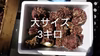 山口県萩産天然フジツボだらけのサザエ（大、特大）2キロ～（8〜12個）