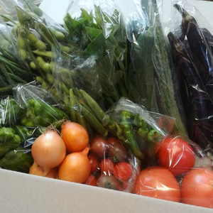 夏の露地野菜セット(Lサイズ）【肥料、農薬不使用】