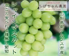 シャインマスカット（種無し）皮ごと食べられる葡萄（山梨県産）