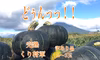 《どぅんっっとズッシリ！》完熟かぼちゃ　くり将軍（2〜3玉）訳あり品