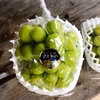 シャインマスカット1.2kg（岡山県産・種なし）