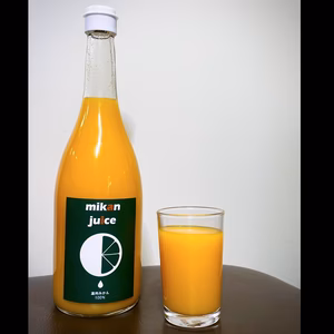 【予約割】無添加！温州みかんジュース 720ml 4本入り