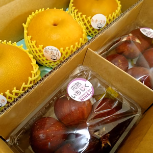 M-2　秋の味覚セット　[豊水＆いちじく]