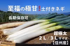 ✅鍋・すきやき用【極太2L／超極太3L特売❗❗】✅至福の極甘ネギ✅増量中❗️
