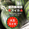 【７月発送予定】夏の風物詩＊あま〜い大玉Sweeca＊