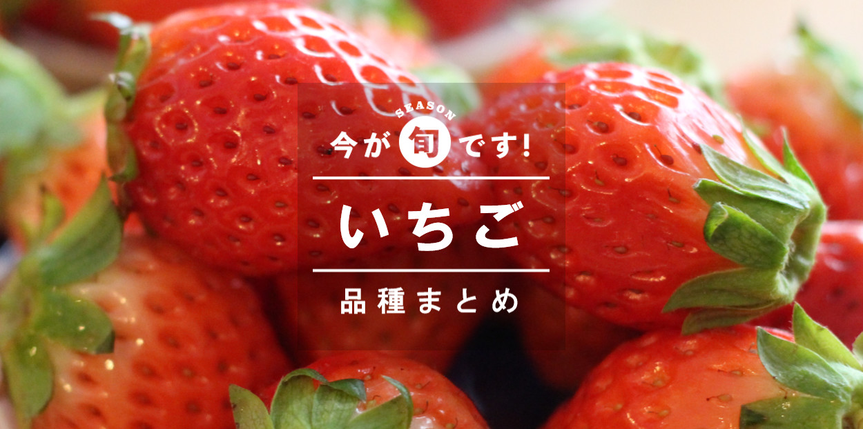 いちごの品種 20種類ご紹介。買って食べられるいちご品種図鑑 | 農家