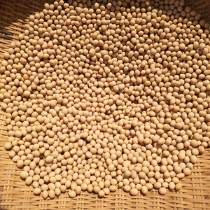 農薬および化学肥料不使用の大豆と青大豆令和6年産