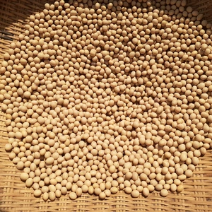 農薬および化学肥料不使用の大豆と青大豆令和4年産