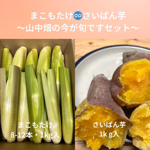 今が旬のセットです！マコモ1kg 南端に伝わる蜜芋　サイパン芋　1kg