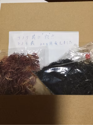 みんなの投稿の画像