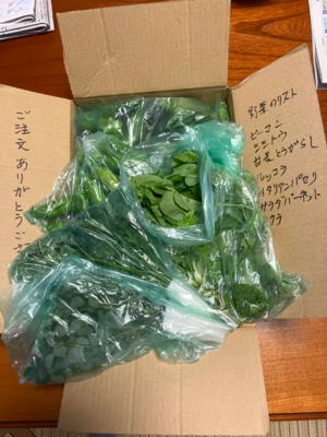 みんなの投稿の画像