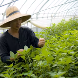 岩城 創 | 株式会社いわき農園