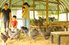 【期間限定！】訳アリ半額！平飼い卵/ちび相馬ミルキーエッグ無くなり次第終了