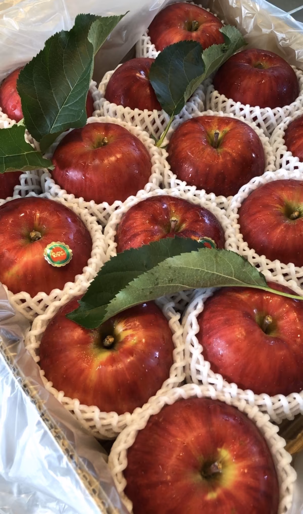 【厳選大玉‼︎】　甘い品種つがる　5キロ