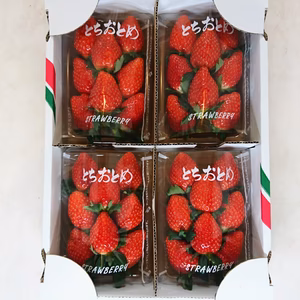【大粒SALE！】完熟❤️酵素栽培のこだわりとちおとめ