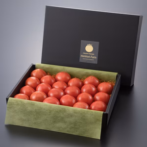 【夏ギフト 8月中旬以降出荷分】今年はトマトを贈りませんか♪　高糖度トマト贈答用