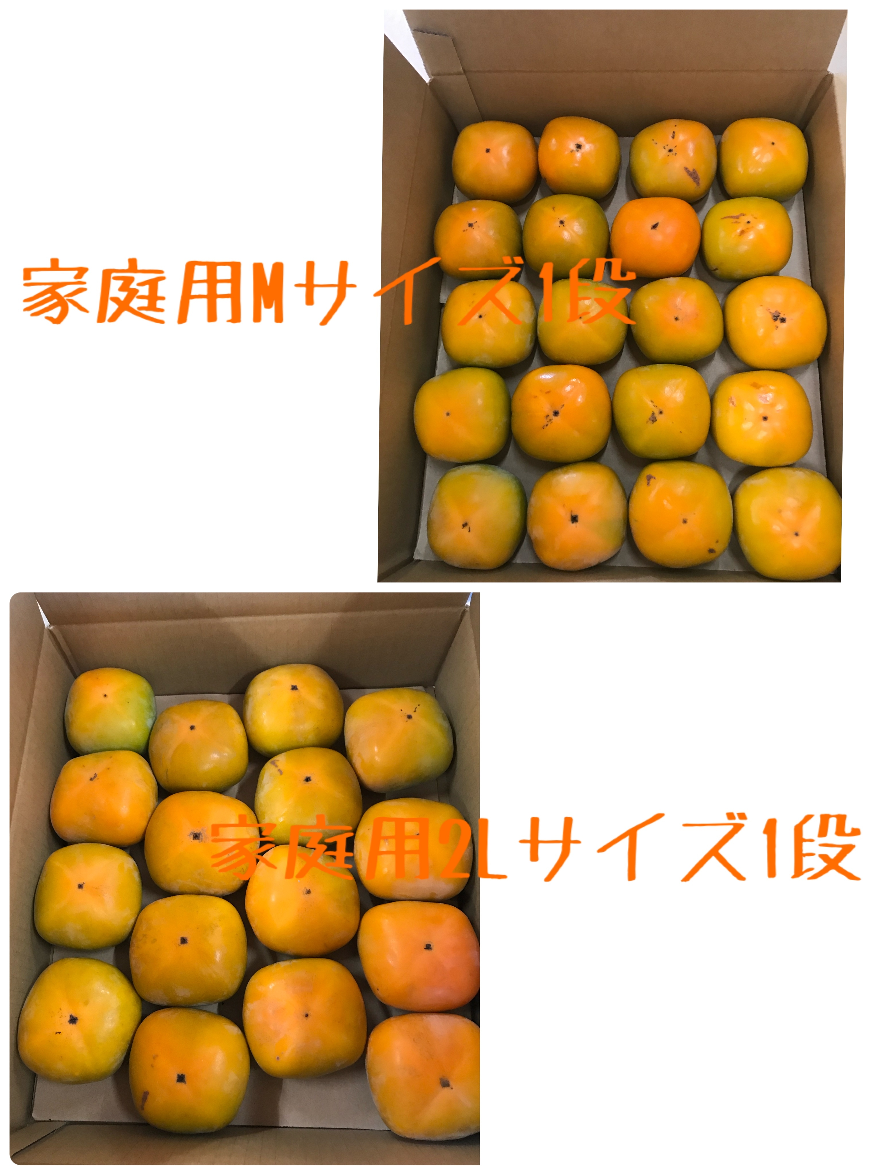 ②全てSサイズ　和歌山県産たねなし柿(刀根早生)箱込み2kg　家庭用