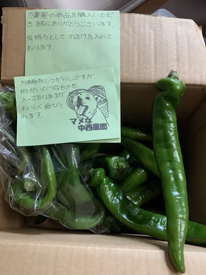 みんなの投稿の画像