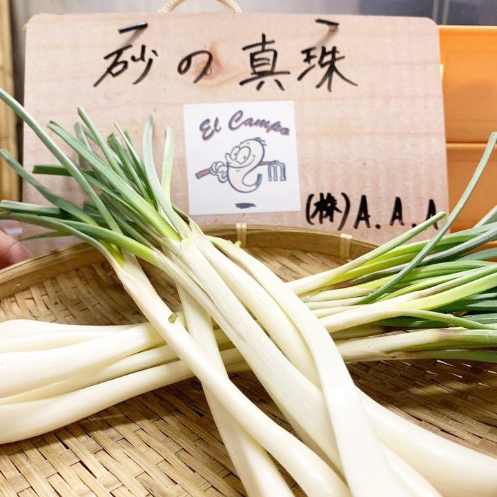 鮮度抜群】栽培中化学肥料・農薬不使用 エシャレット砂なし｜野菜の