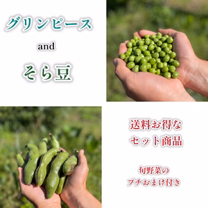 【旬の味覚！送料お得なセット商品】グリンピースとそら豆