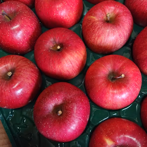 長野県産 サンふじ 秀 5㎏(14個〜18個)