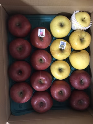 みんなの投稿の画像