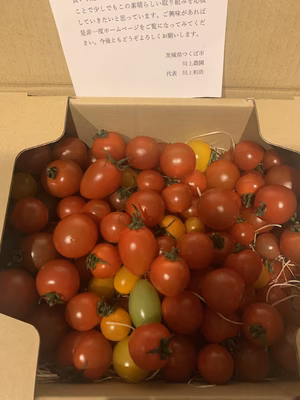 みんなの投稿の画像