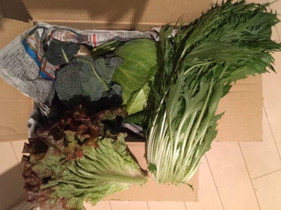 みんなの投稿の画像