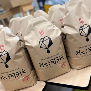 お米食べ比べ３品種【氷河米】令和５年産　特別栽培米　山形県庄内産