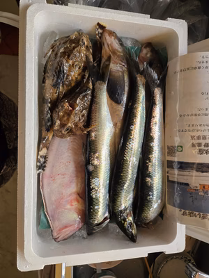 みんなの投稿の画像