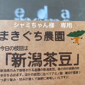 シャミちゃん様専用　新潟茶豆 1kg 